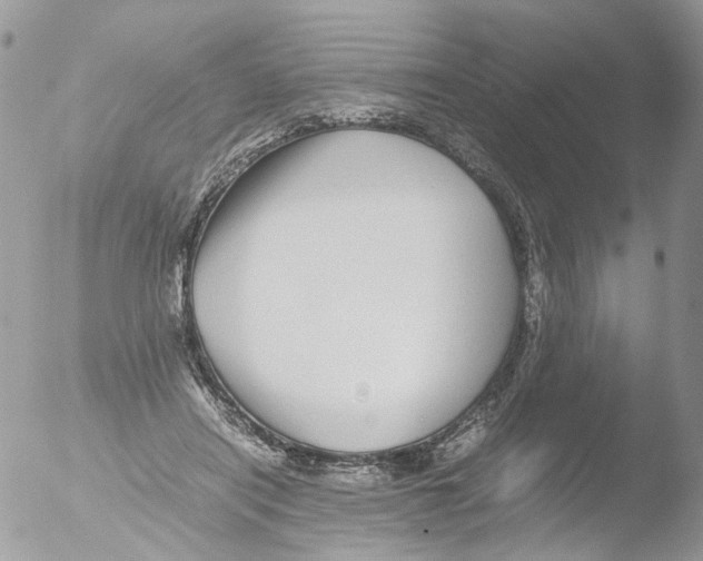 X0000051250454200507152154