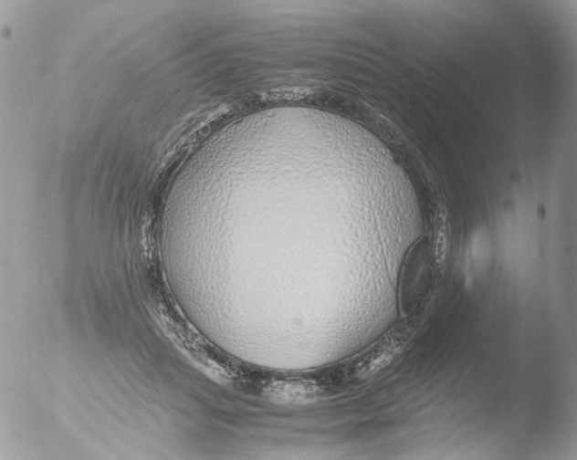 X0000051250455200507152154