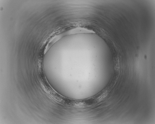 X0000051250456200507152154