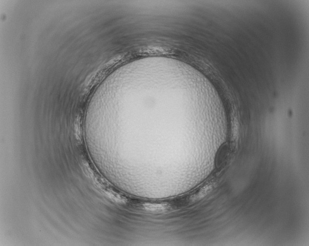 X0000051250457200507152154