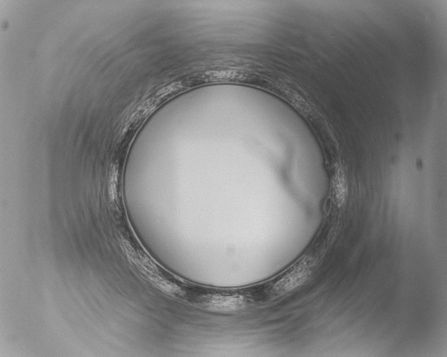 X0000051250458200507152154