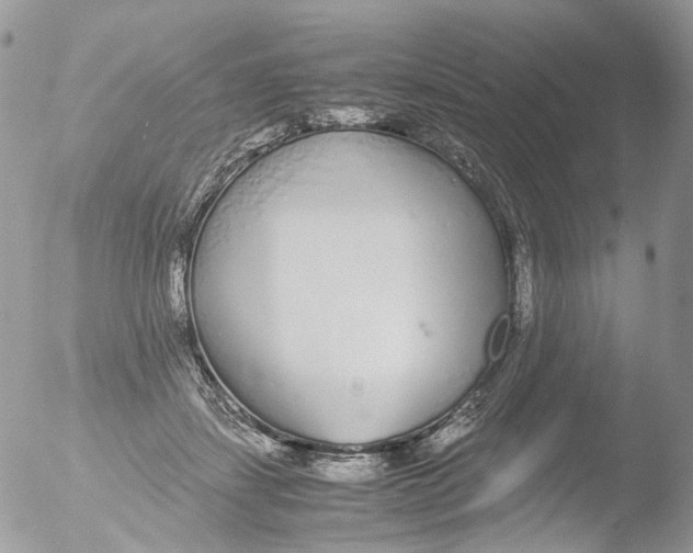 X0000051250459200507152154