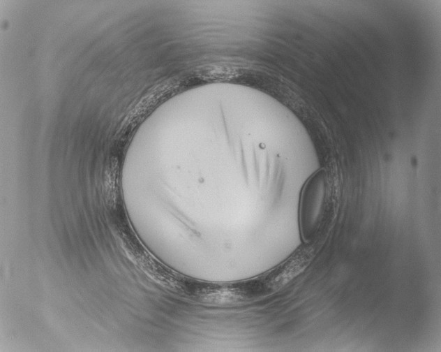 X0000051250460200507152154