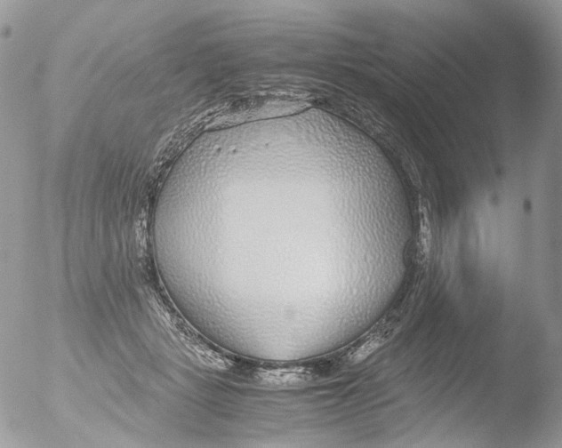 X0000051250461200507152154