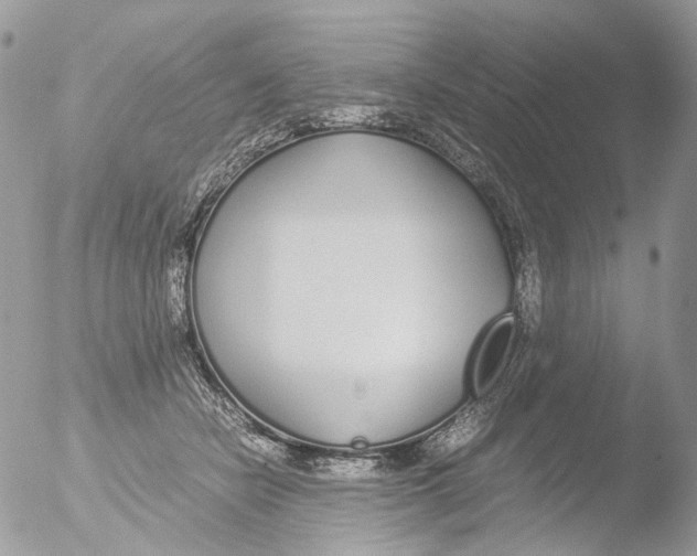 X0000051250462200507152154