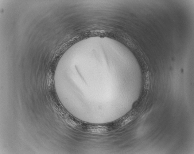 X0000051250463200507152154