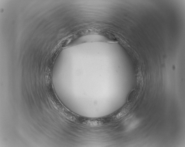 X0000051250464200507152154