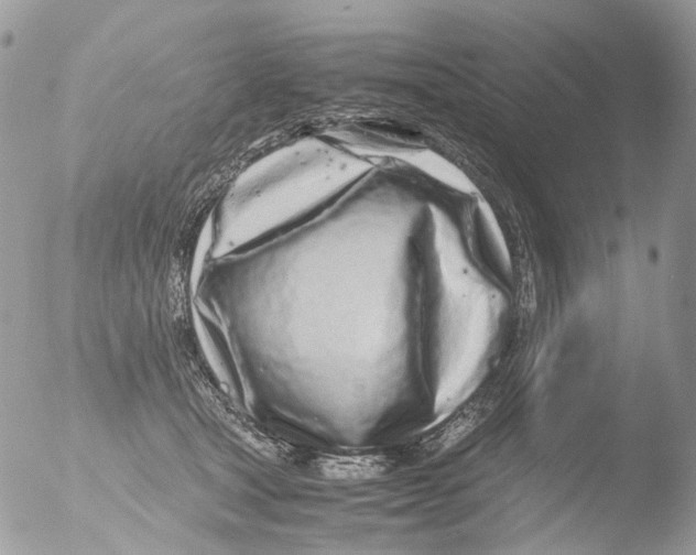 X0000051250465200507152154