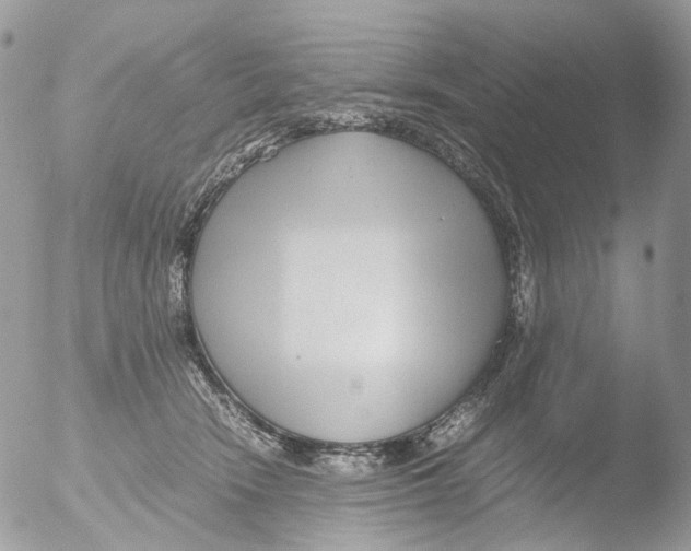 X0000051250466200507152154