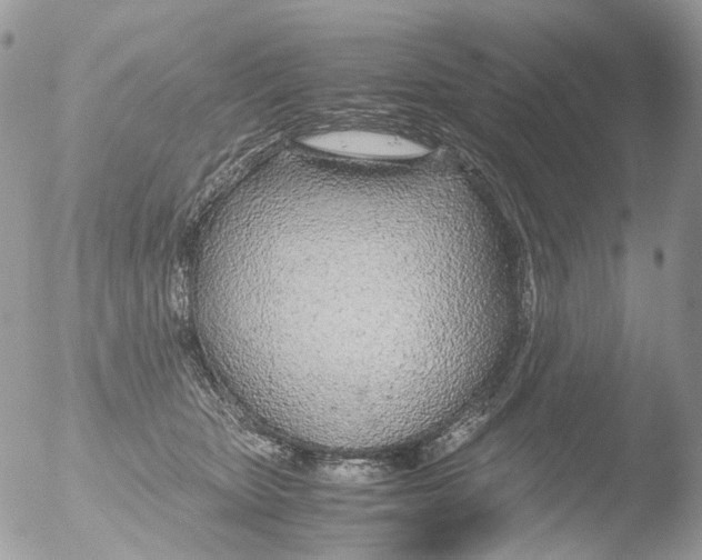 X0000051250467200507152154