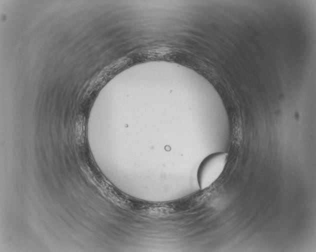 X0000051250468200507152154