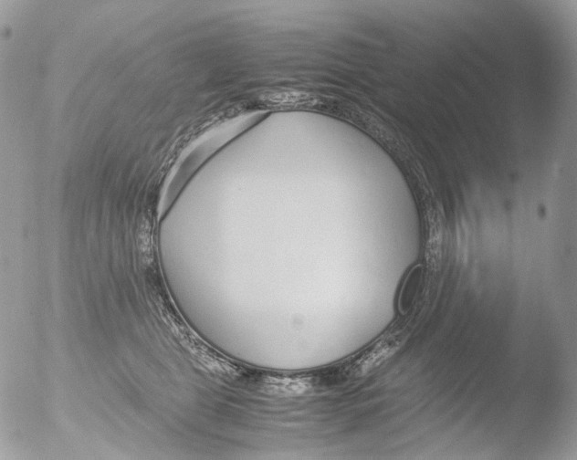 X0000051250469200507152154