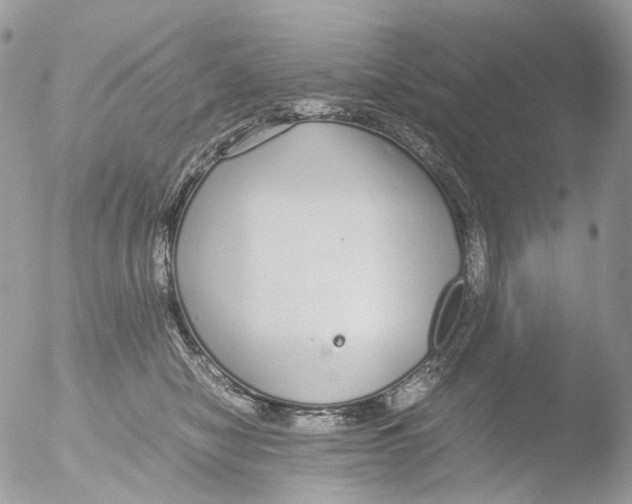 X0000051250470200507152154