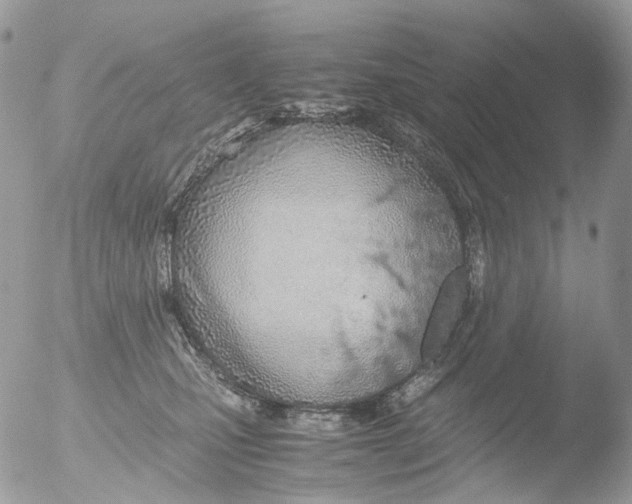 X0000051250471200507152154