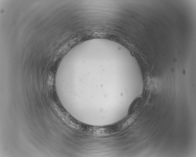 X0000051250472200507152154