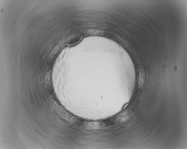 X0000051250473200507152154