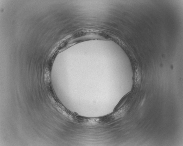 X0000051250474200507152154