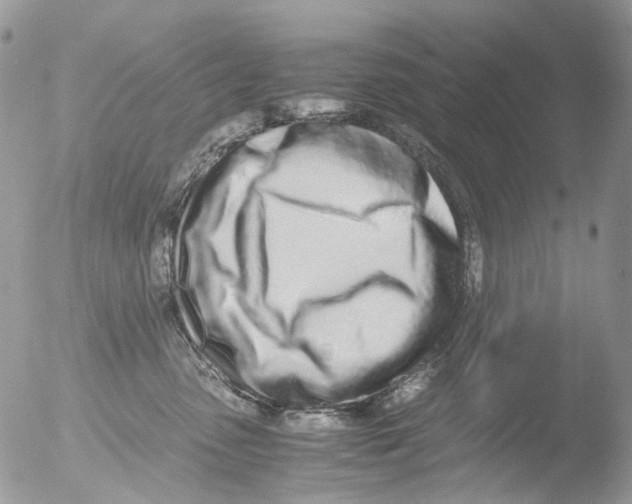 X0000051250475200507152154