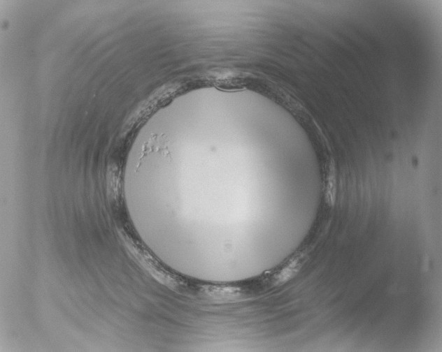 X0000051250476200507152154