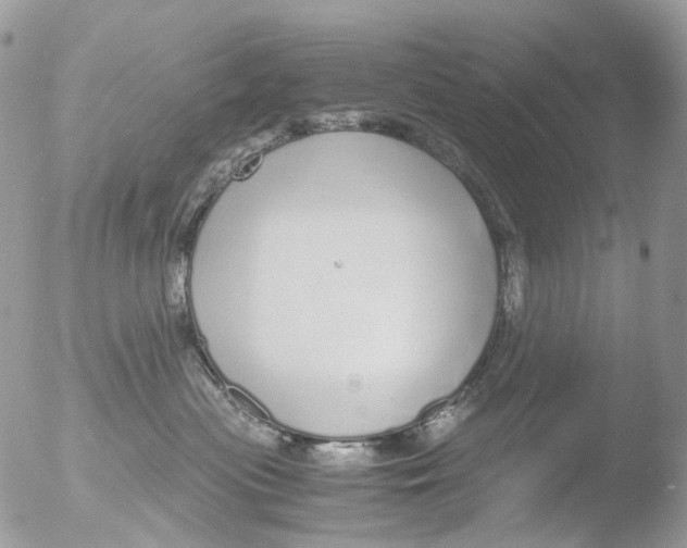 X0000051250477200507152154