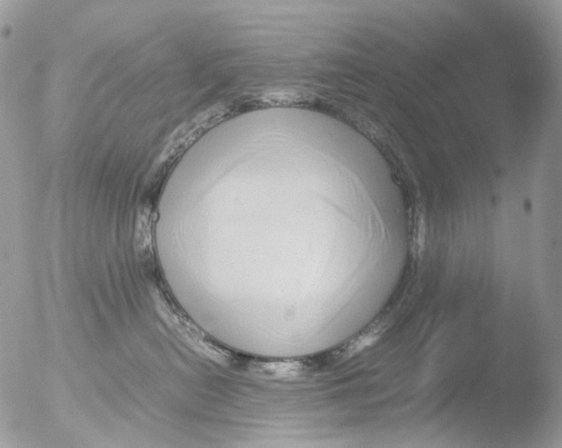 X0000051250478200507152154