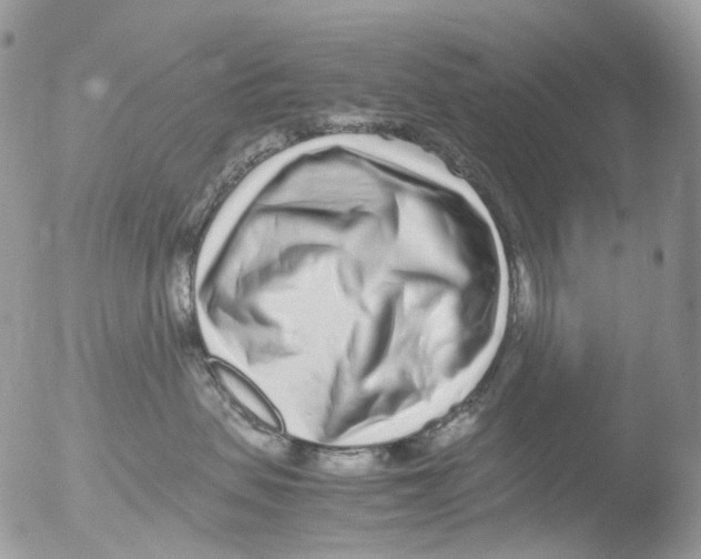 X0000051250479200507152154