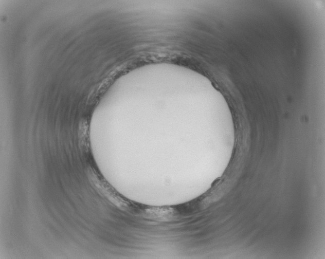 X0000051250480200507152154