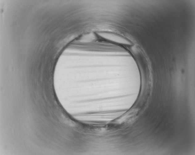 X0000051250481200507152153