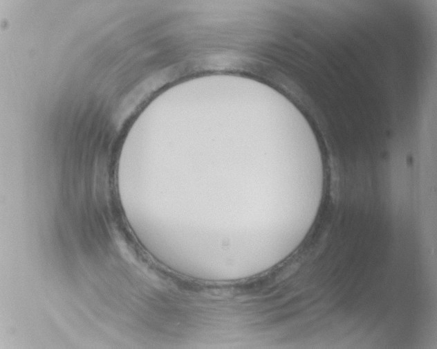 X0000051250482200507152153