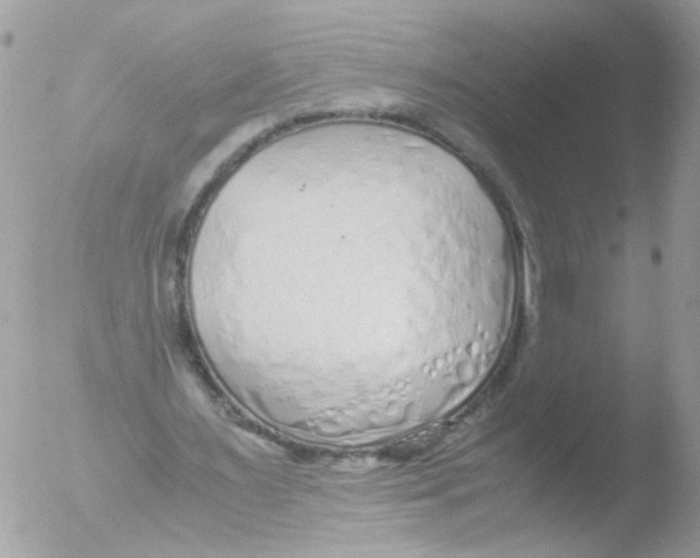 X0000051250483200507152153