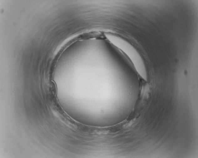 X0000051250484200507152153