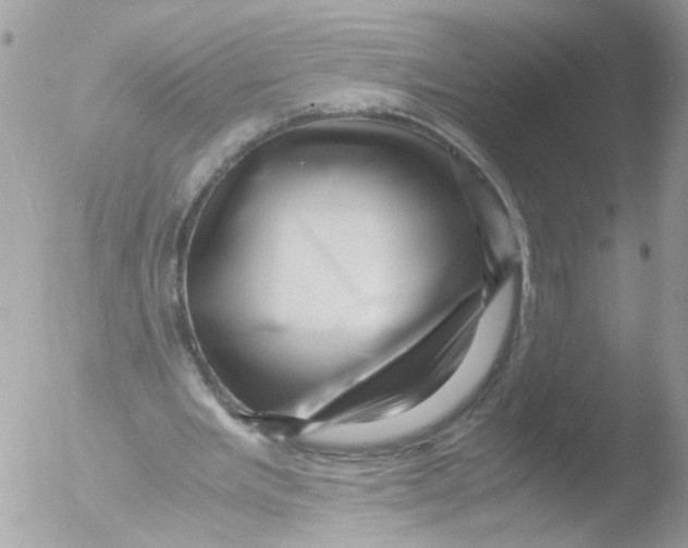 X0000051250485200507152153