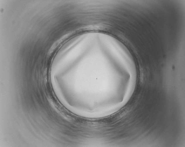 X0000051250486200507152153