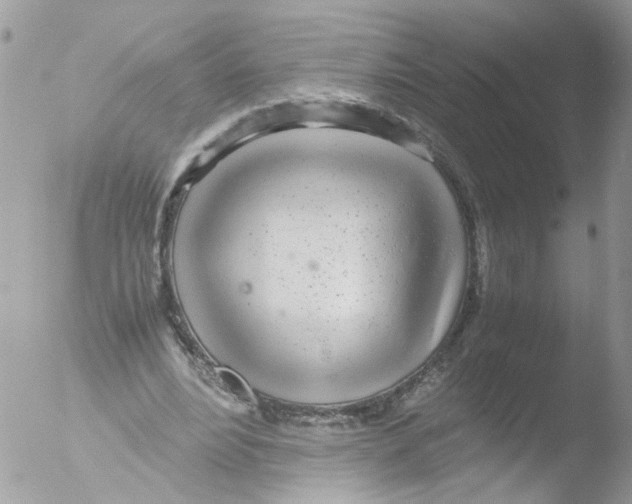 X0000051250488200507152153