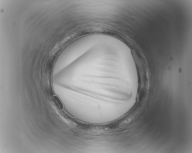 X0000051250489200507152153