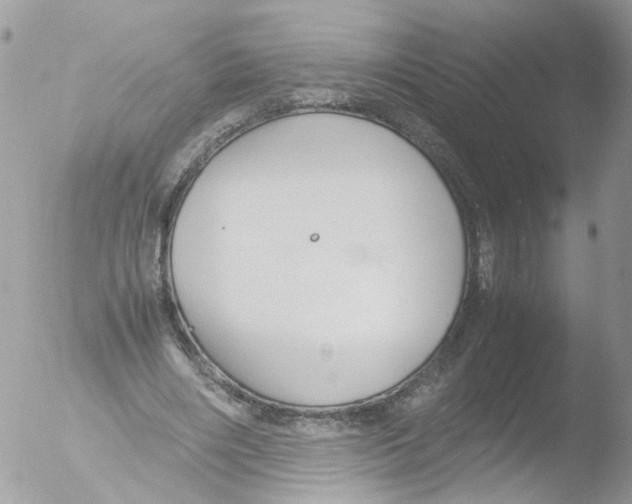 X0000051250490200507152153