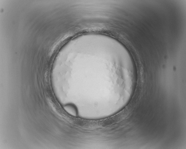 X0000051250491200507152153