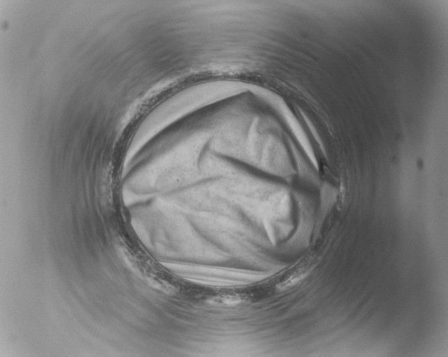 X0000051250492200507152153