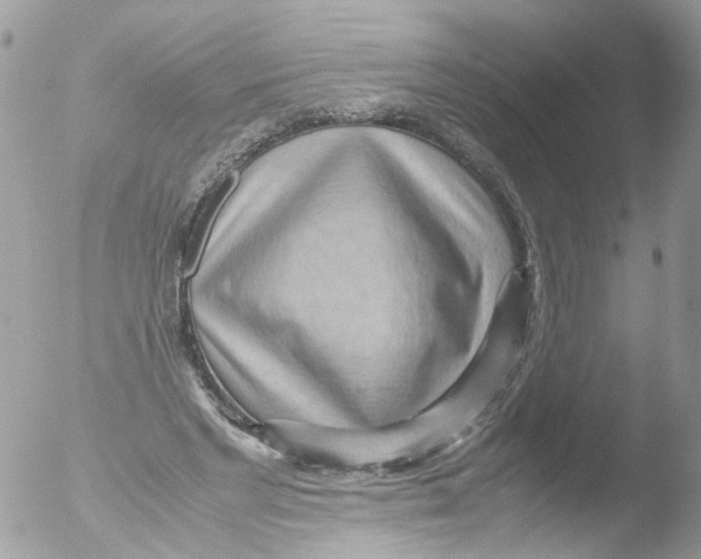 X0000051250493200507152153