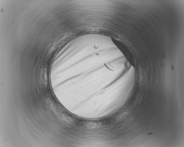 X0000051250494200507152153