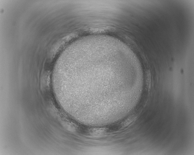 X0000051250495200507152153