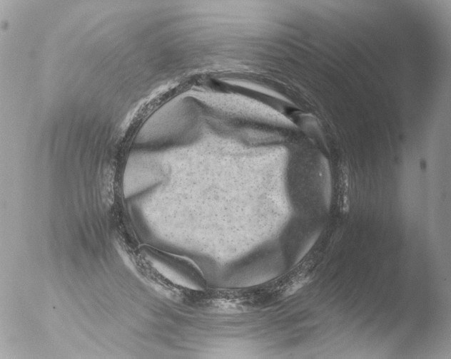 X0000051250496200507152153