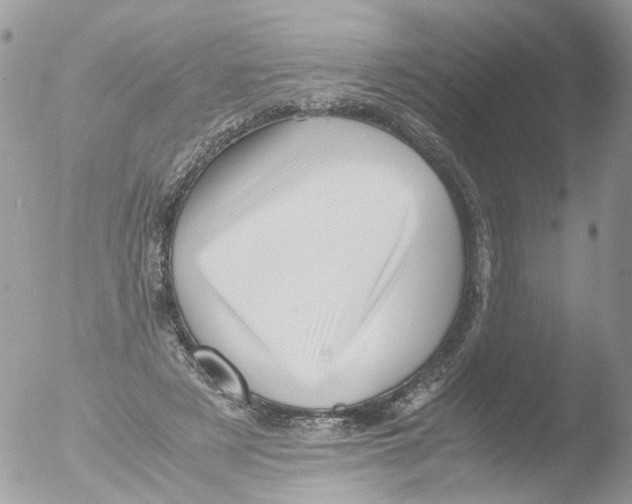 X0000051250497200507152153