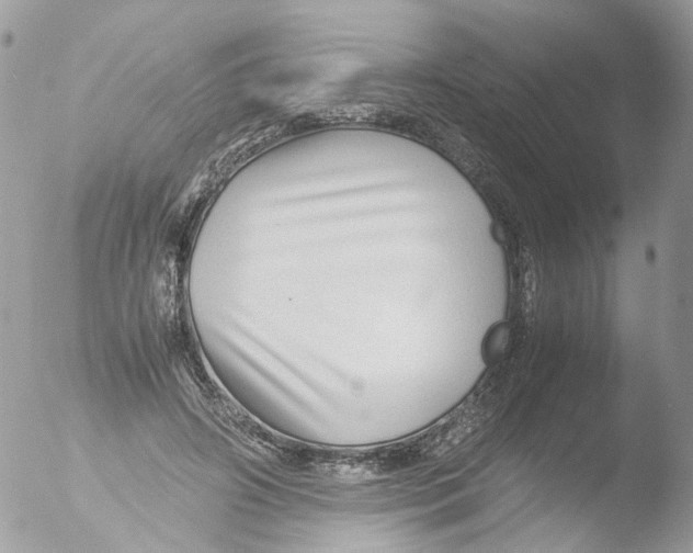 X0000051250498200507152153