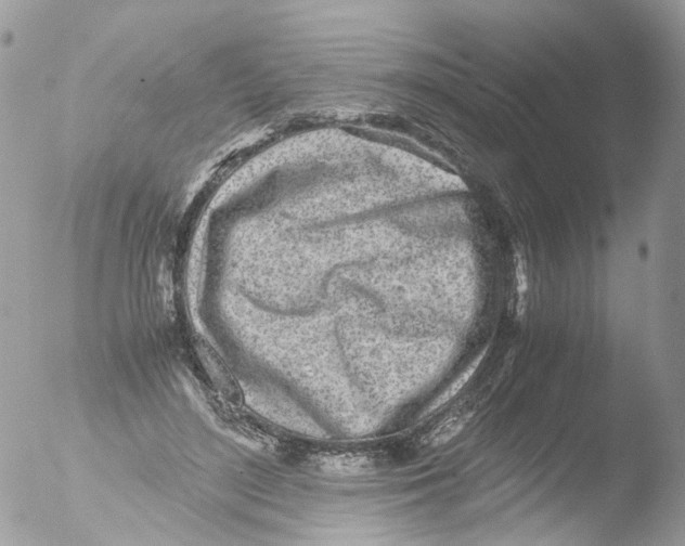 X0000051250500200507152153