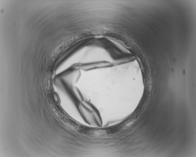 X0000051250501200507152153