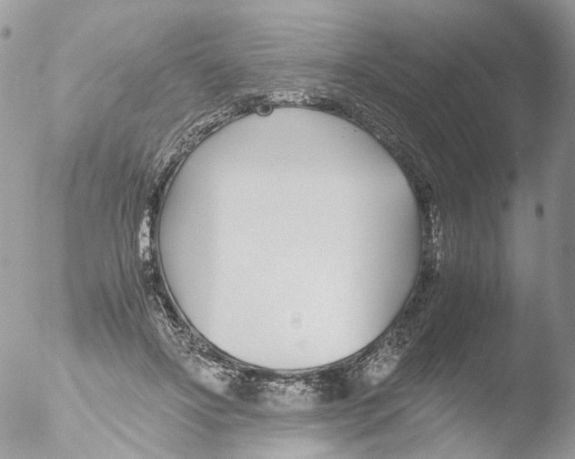 X0000051250502200507152153