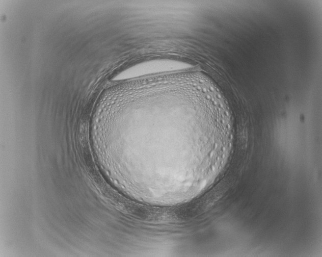 X0000051250503200507152153