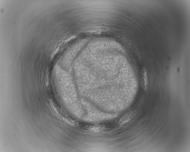 X0000051250504200507152153