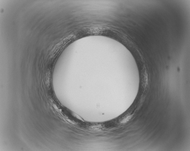 X0000051250505200507152153